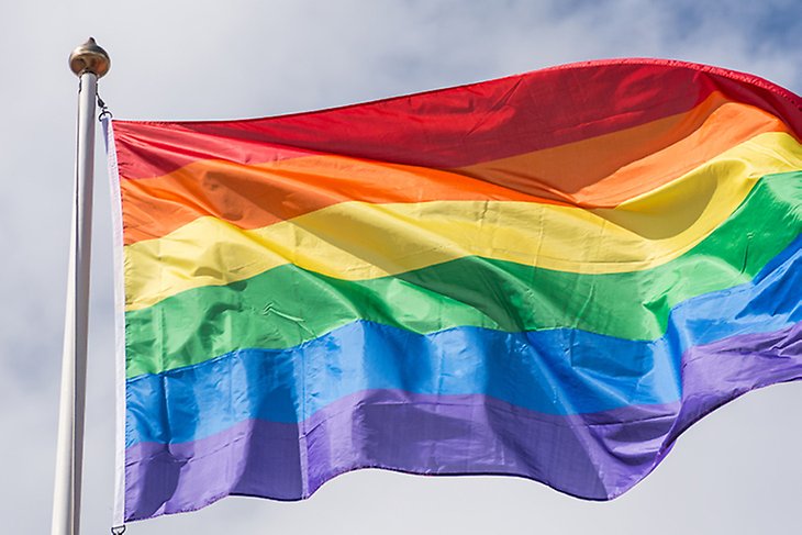 Pride flagga